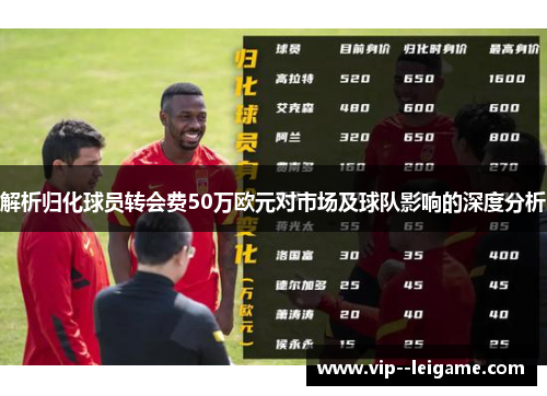 解析归化球员转会费50万欧元对市场及球队影响的深度分析 解析归化球员转会费50万欧元对市场及球队影响的深度分析
