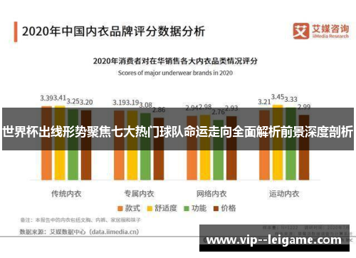 世界杯出线形势聚焦七大热门球队命运走向全面解析前景深度剖析 世界杯出线形势聚焦七大热门球队命运走向全面解析前景深度剖析
